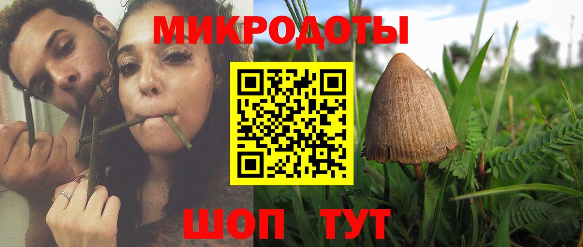 Псилоцибиновые грибы прущие грибы Казань
