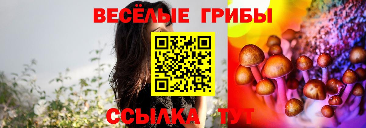 Казань  Галлюциногенные грибы MAGIC MUSHROOMS  Вход с VPN 
